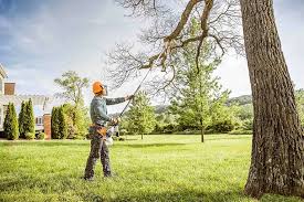 Fruitville, FL Tree Removal and Landscaping Services Company